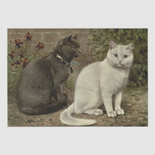 Grey and White Cat Ephemera Decoupage Tissue Paper