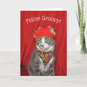 Grey and white cat Hippie Valentine's or Birthday Card