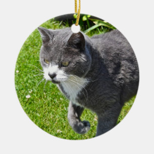 Grey and White Cat  Ornament