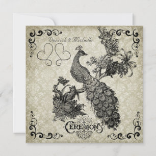 Grey and White Damask Peacock Wedding Invitation