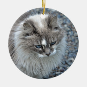 Grey and white kitty cat ceramic tree decoration