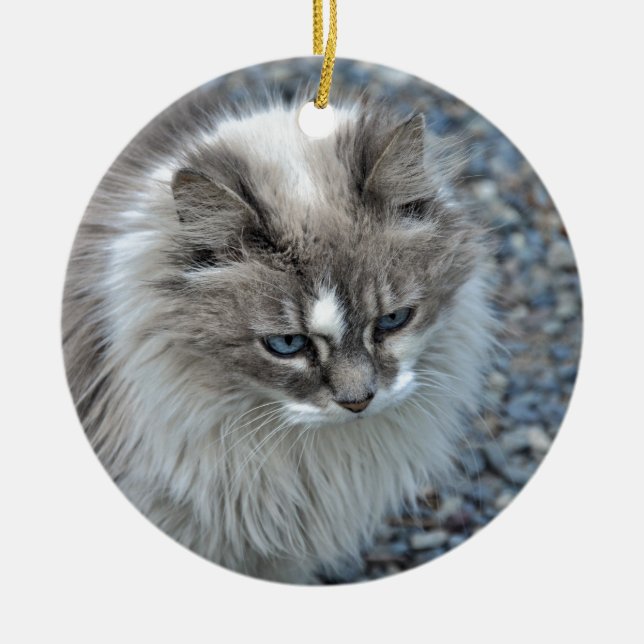 Grey and white kitty cat ceramic tree decoration (Front)
