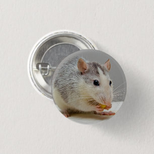 Grey and White Rat 3 Cm Round Badge