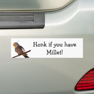 Grey and Yellow Cockatiel Pet Bird Colour Photo Bumper Sticker