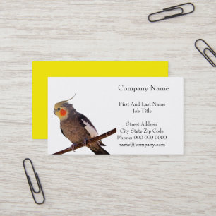 Grey and Yellow Cockatiel Pet Bird Colour Photo Business Card