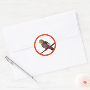 Grey and Yellow Cockatiel Pet Bird Colour Photo Classic Round Sticker