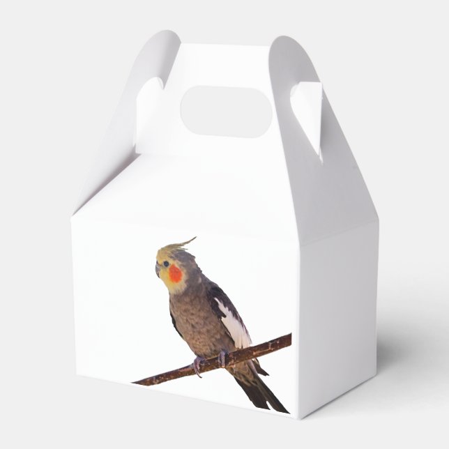 Grey and Yellow Cockatiel Pet Bird Colour Photo Favour Box (Front Side)