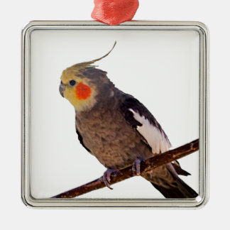 Grey and Yellow Cockatiel Pet Bird Colour Photo Metal Ornament