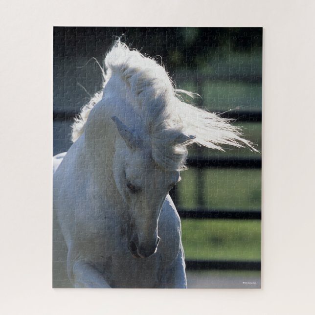 Grey Andalucian Bucking Headshot Backlit Jigsaw Puzzle (Vertical)
