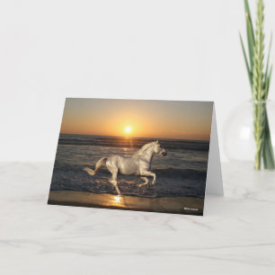 Grey Andalucian Running On Beach By Sea Card