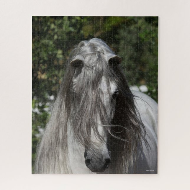 Grey Andalucian Stallion Headshot Long Mane Jigsaw Puzzle (Vertical)