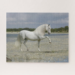 Grey Andalucian Stallion Standing In Lake Jigsaw Puzzle