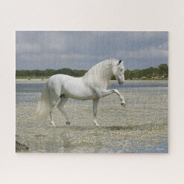 Grey Andalucian Stallion Standing In Lake Jigsaw Puzzle (Horizontal)