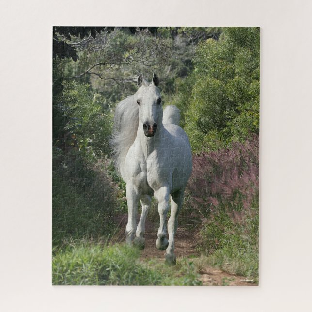 Grey Arab Running On Path With Flowers Jigsaw Puzzle (Vertical)