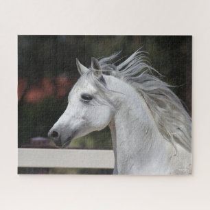 Grey Arab Stallion headshot Mane Flowing Jigsaw Puzzle