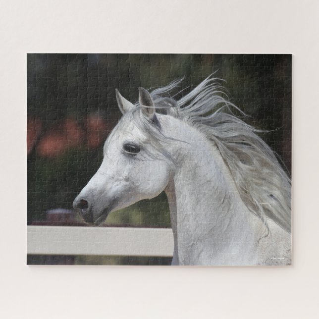 Grey Arab Stallion headshot Mane Flowing Jigsaw Puzzle (Horizontal)