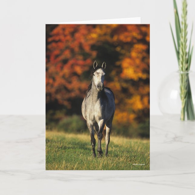 Grey Arab Standing Autumnal Background Card (Front)