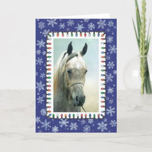 Grey Arabian Horse Blank Christmas Card