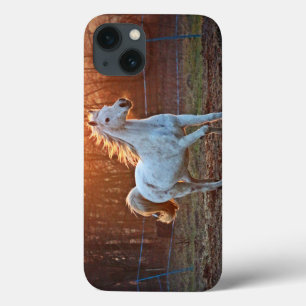 Grey Arabian Horse iPhone 13 Case