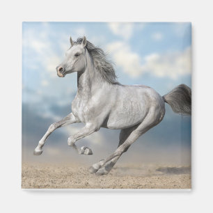 Grey Arabian Horse Gallops Through Sandy Landscape Magnet