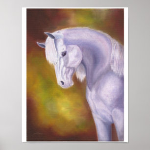 Grey Arabian mare print 11"x14"
