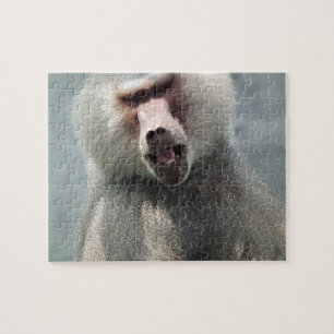 Grey Baboon looking at you with his mouth open Jigsaw Puzzle