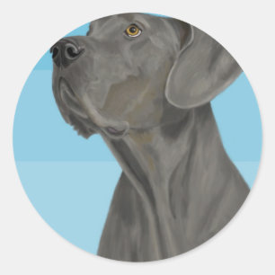 Grey Beautiful Great Dane on Blue Classic Round Sticker