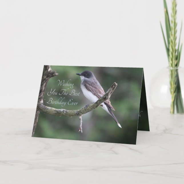 Grey Bird Photograph Card (Front)