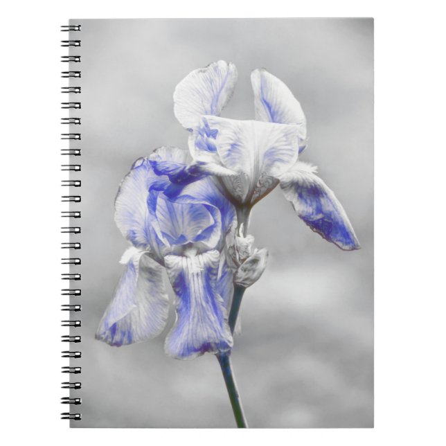 Grey Blue Iris Flower Art Journal Notebook (Front)