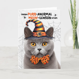 Grey British Halloween Cat PURRanormal MEOWolween Holiday Card