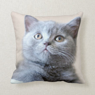 Grey British Shorthair Cat Cushion