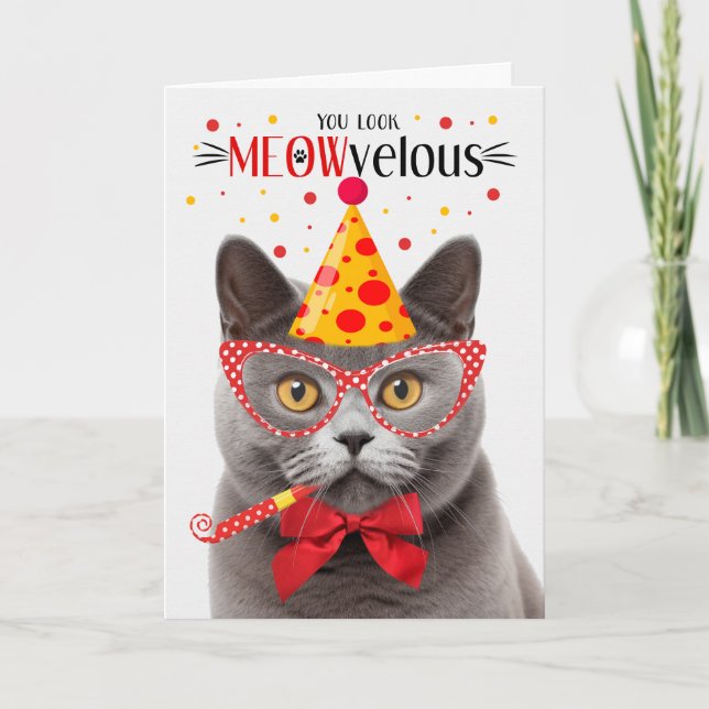 Grey British Shorthair Cat MEOWvelous Birthday Card (Front)