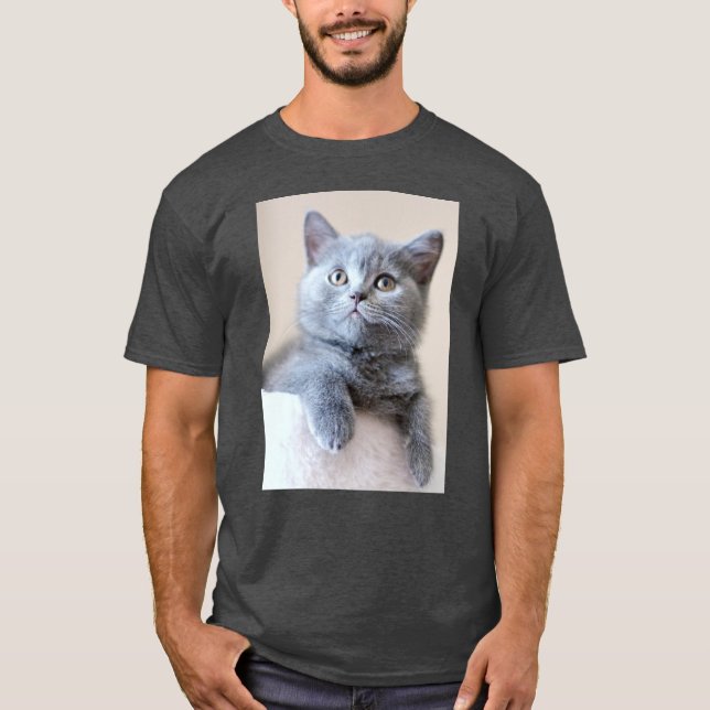 Grey British Shorthair Cat T-Shirt (Front)