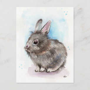Grey Bunny Postcard