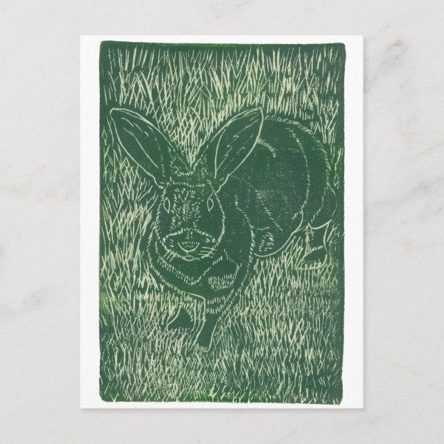 Grey Bunny Rabbit In The Grass Postcard (Front)