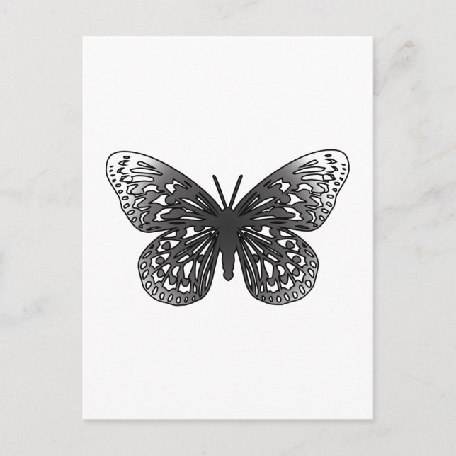Grey Butterfly Postcard (Front)