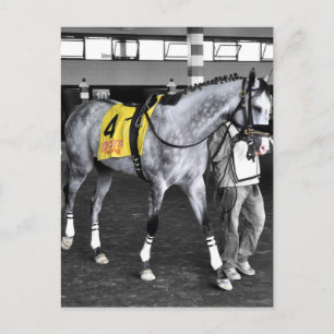 Grey by You Postcard