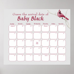 Grey Cardinal Bird Baby Shower Guess The Due Date Poster