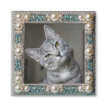 Grey Cat Animal Memory Anchor