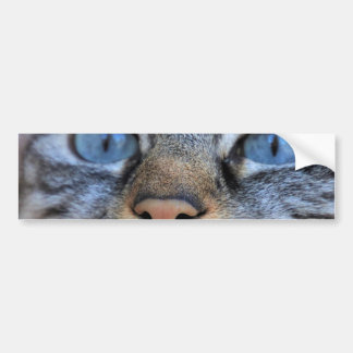 Grey Cat Bumper Sticker