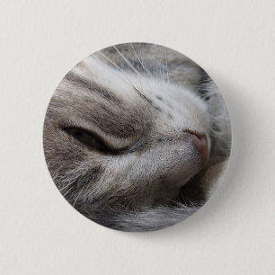 Grey Cat Button