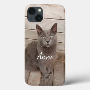 Grey Cat iPhone 13 Case