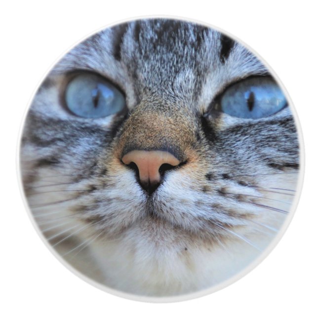 Grey Cat Ceramic Knob (Front)