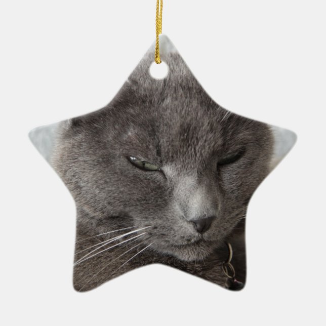 Grey cat ceramic ornament (Front)