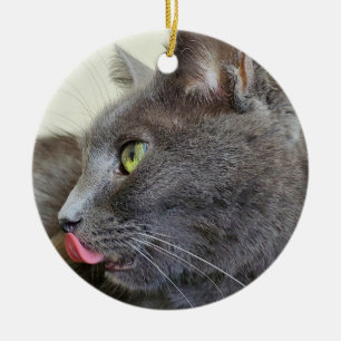 Grey cat ceramic ornament