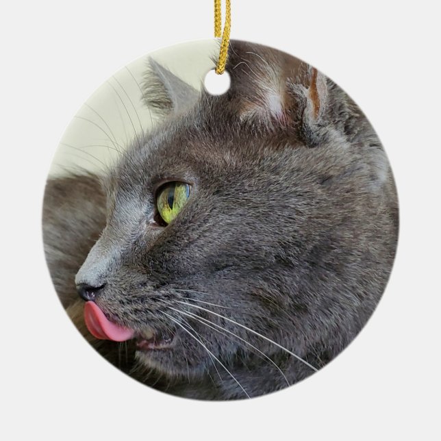 Grey cat ceramic ornament (Front)