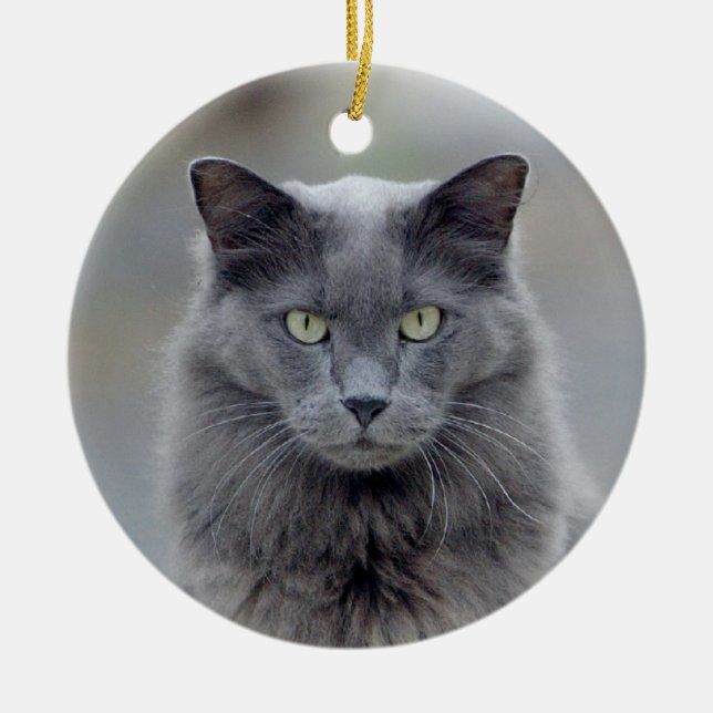 Grey Cat Christmas Ornament (Front)