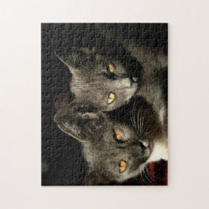 Grey Cat Copule Jigsaw Puzzle