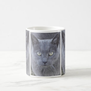 Grey Cat Face Close-up Coffee Mug
