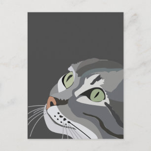 Grey Cat Face Postcard